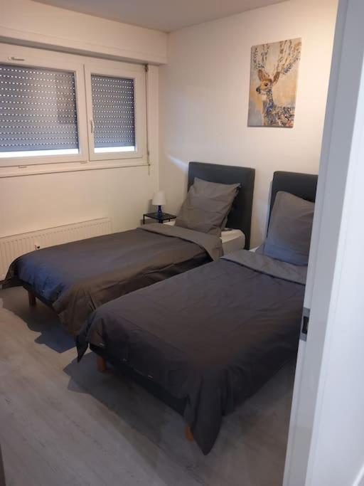 Super Appart Strasbourg 6 Pers Centre-Ville Ideal Экстерьер фото